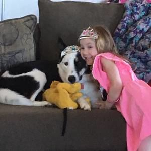 Meet your Posher, Jeffery